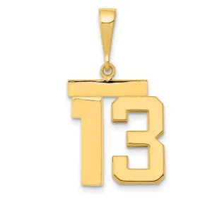 14k Yellow Gold Medium Polished Number 13 Charm