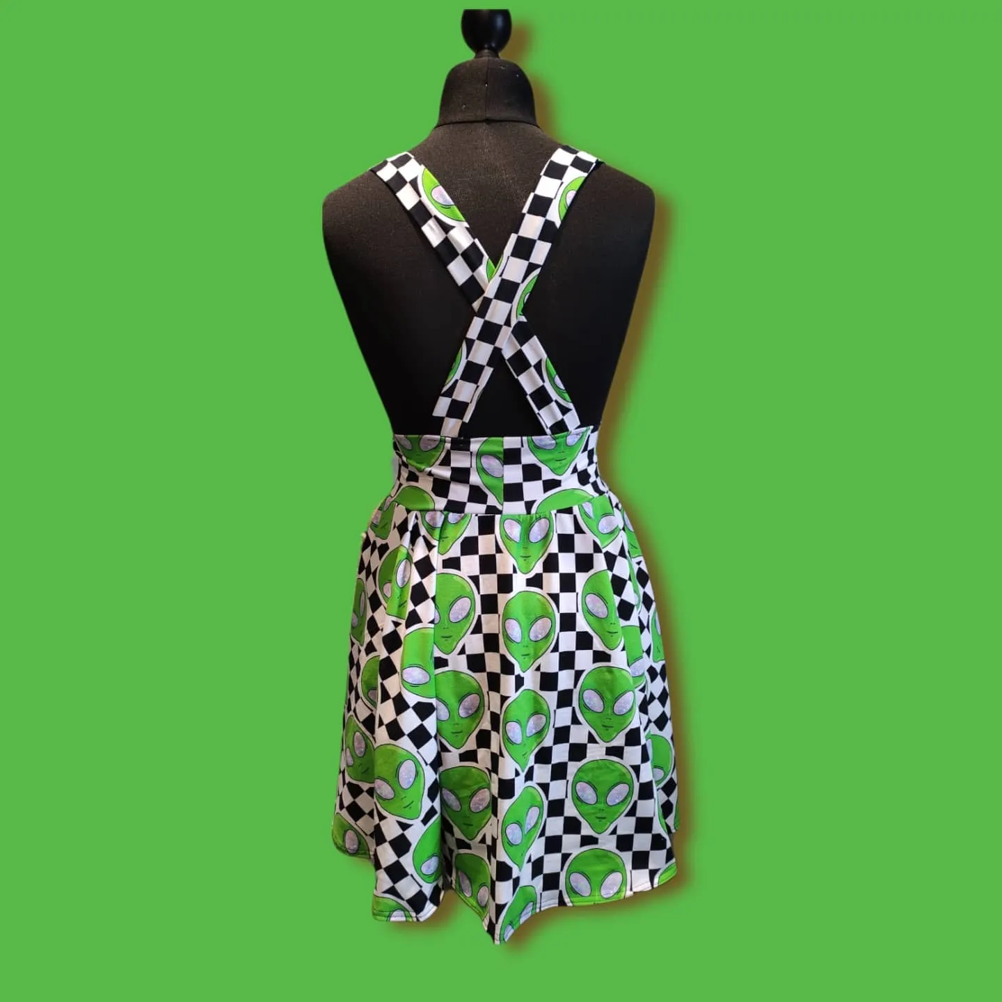 Adult Spendy Dress