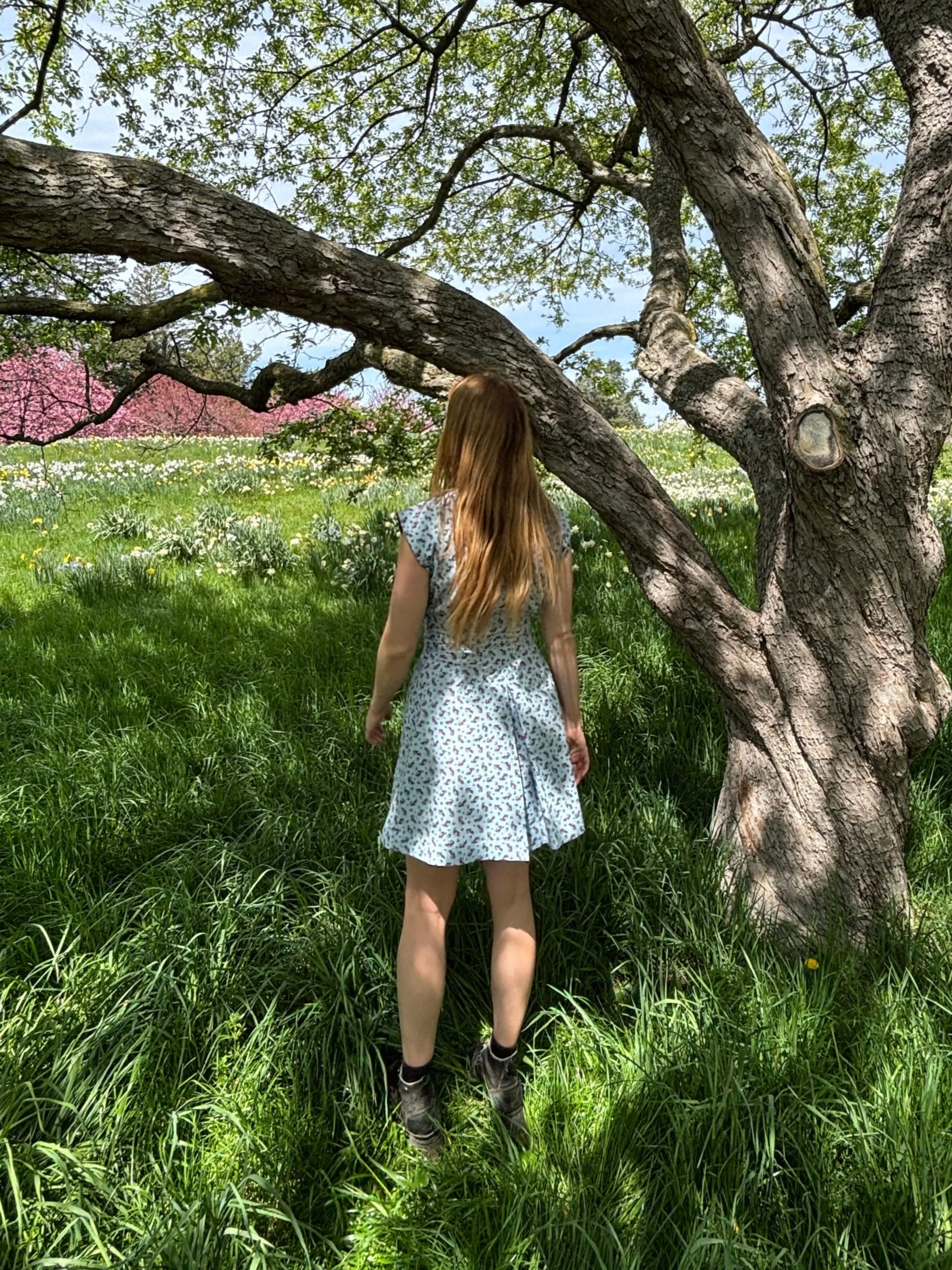Apple Acres Dress