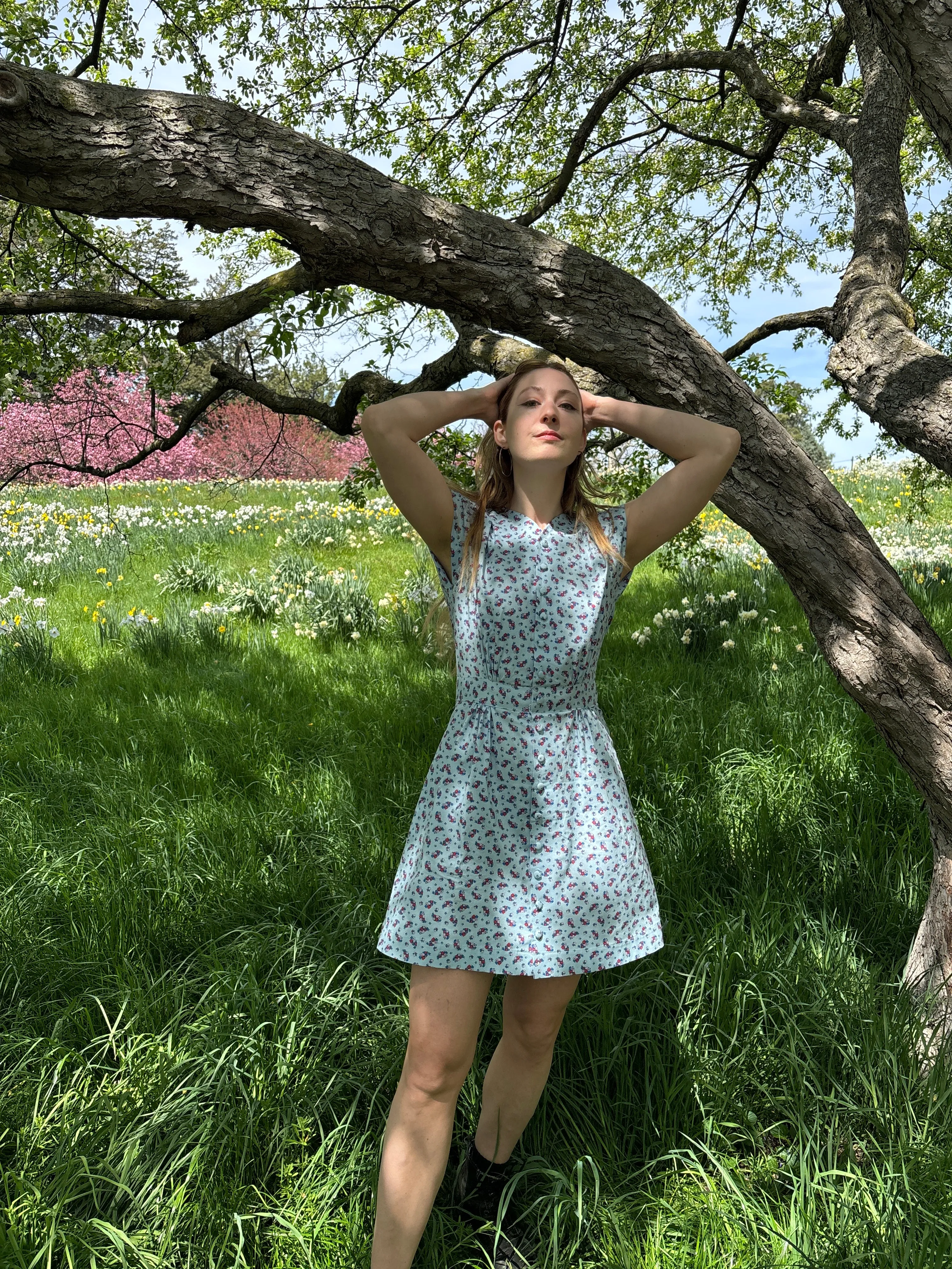 Apple Acres Dress