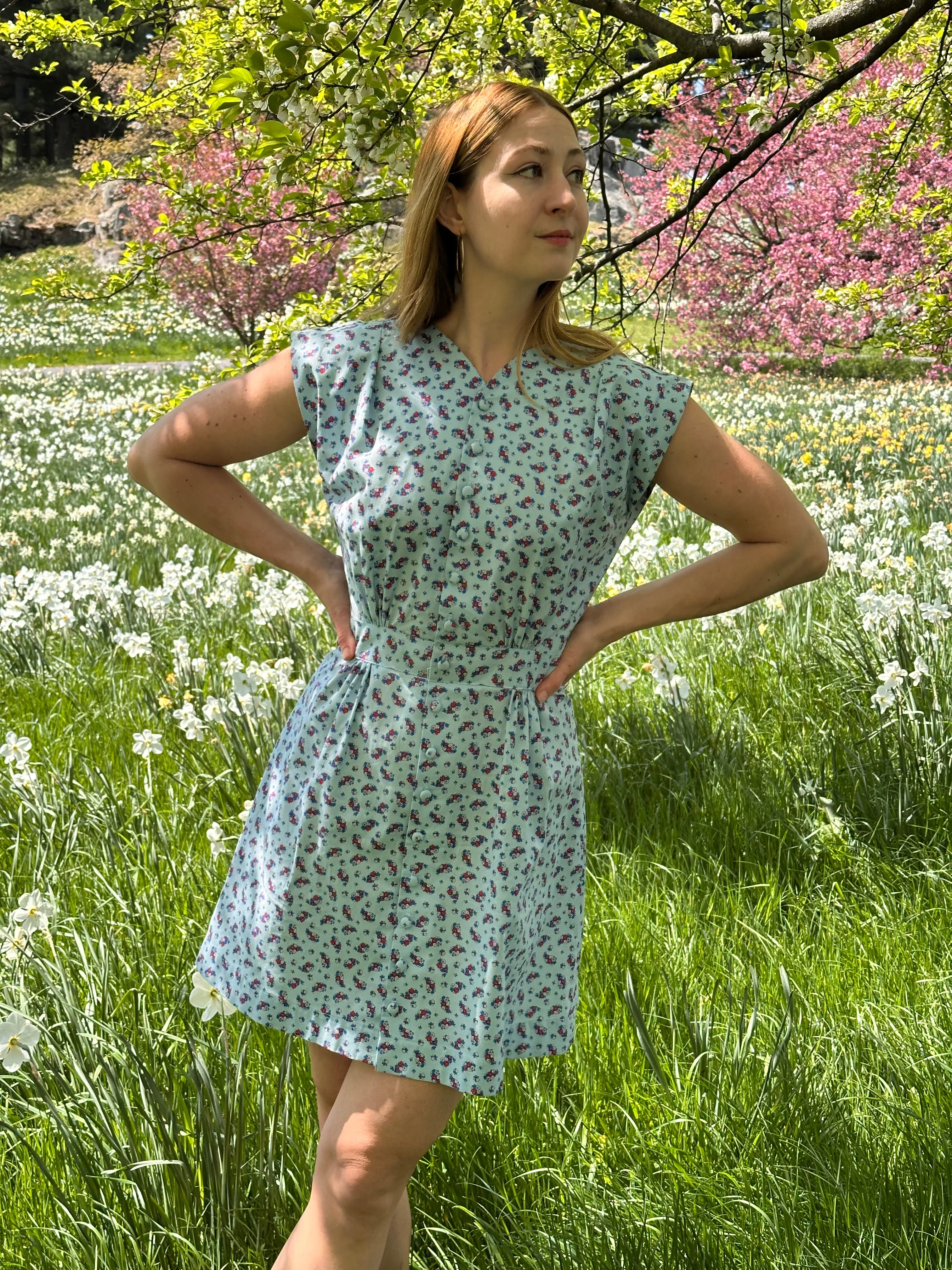 Apple Acres Dress