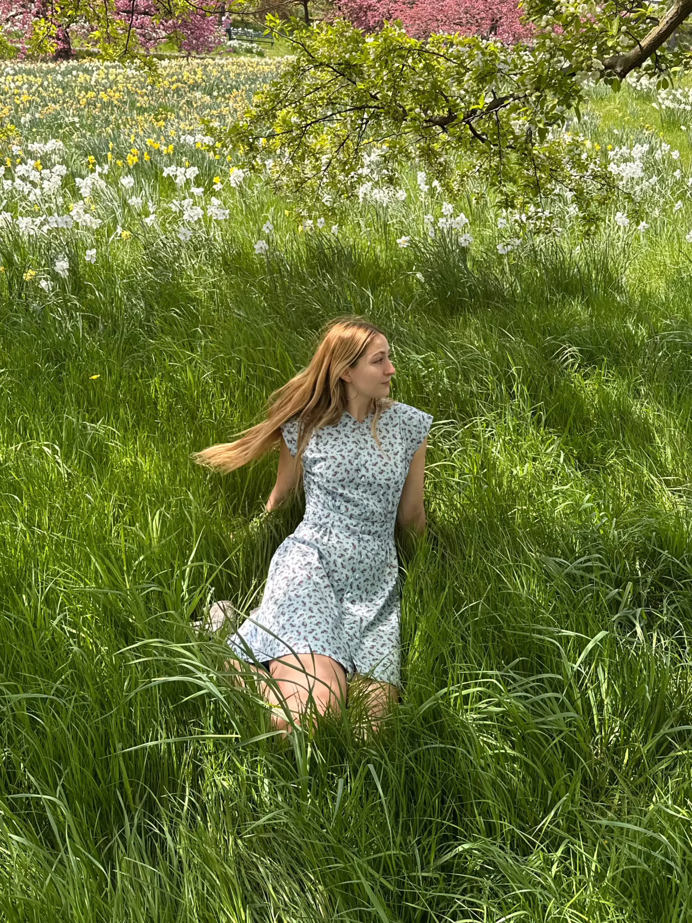 Apple Acres Dress