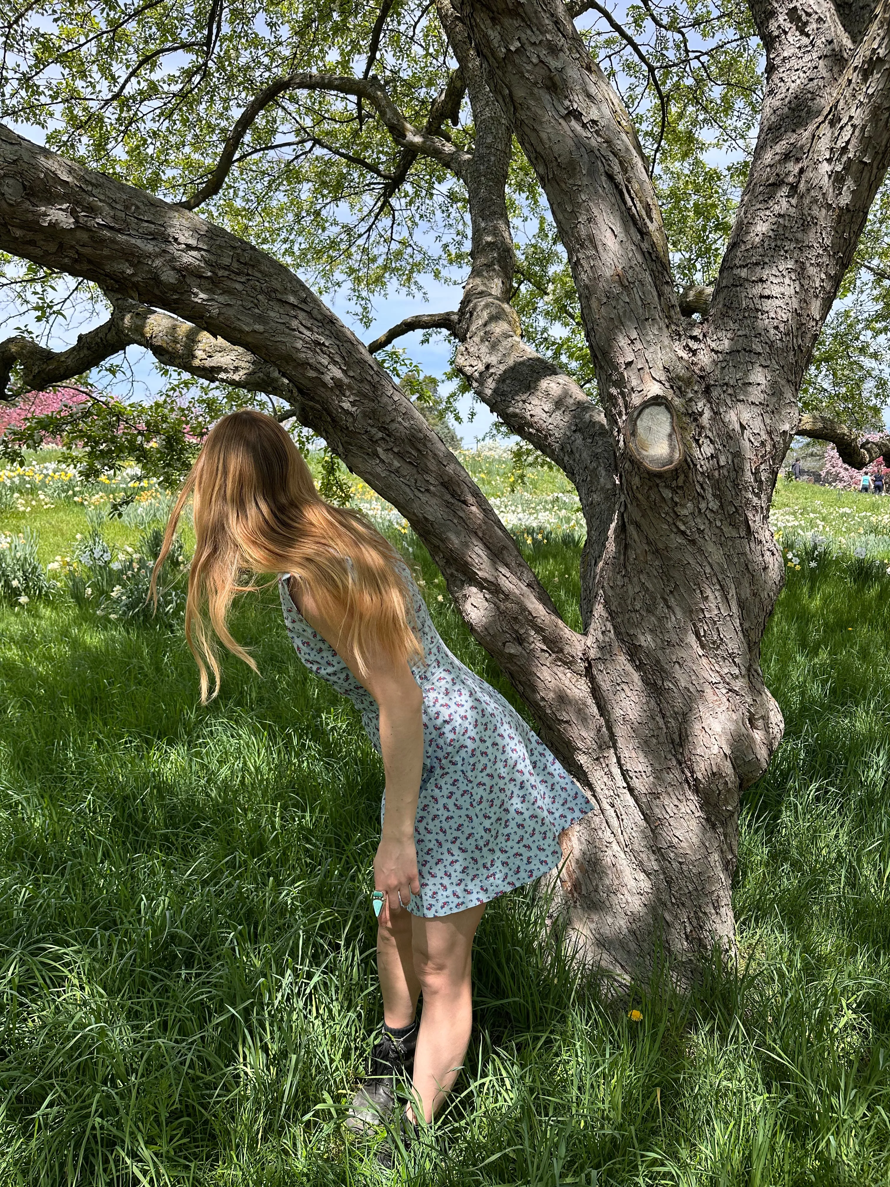Apple Acres Dress