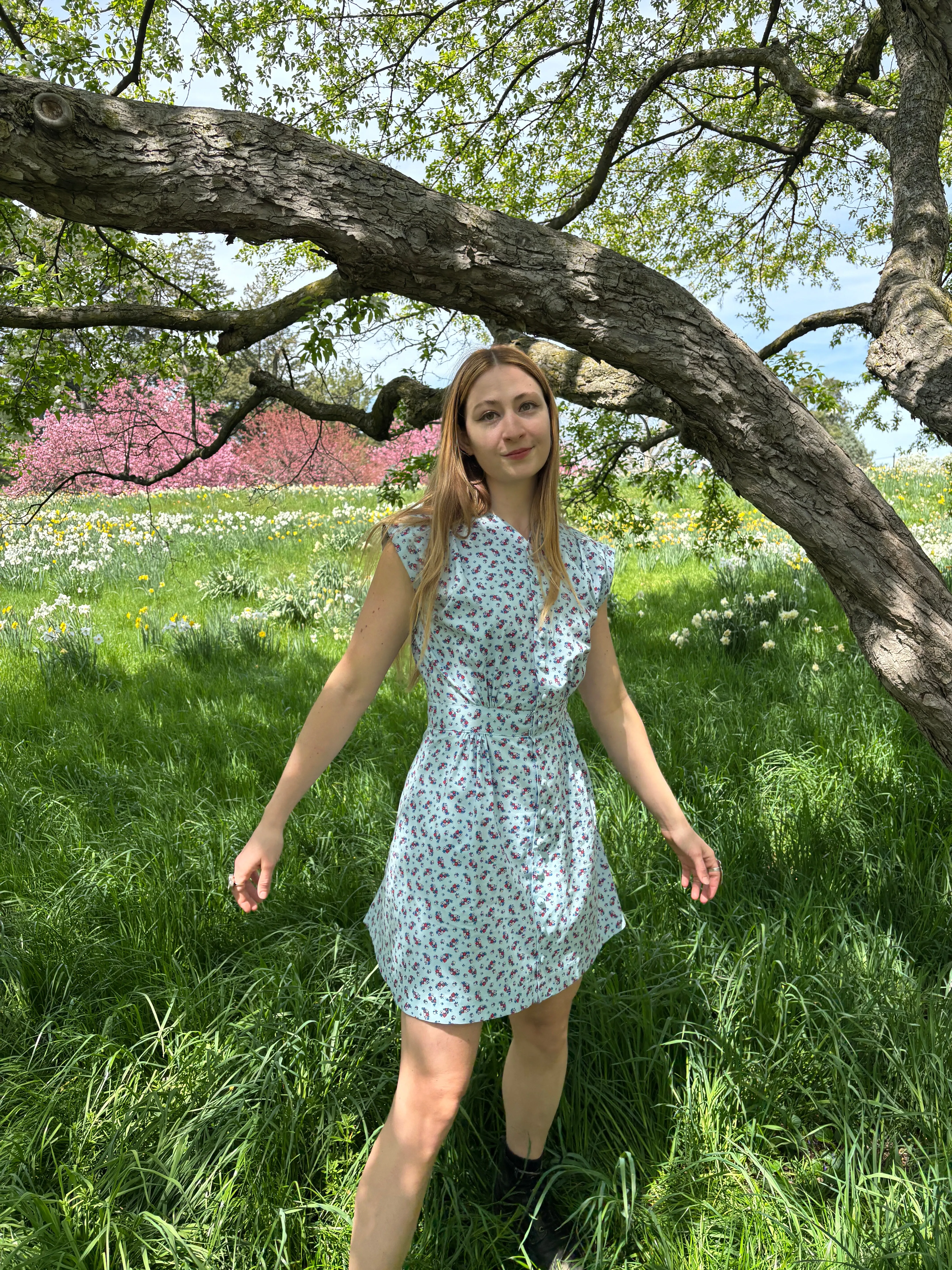 Apple Acres Dress