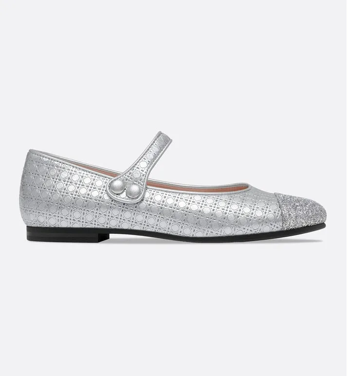 Ballerina Flat • Silver Microcannage Lambskin