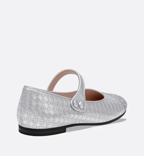 Ballerina Flat • Silver Microcannage Lambskin