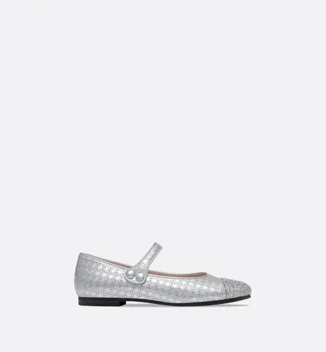 Ballerina Flat • Silver Microcannage Lambskin