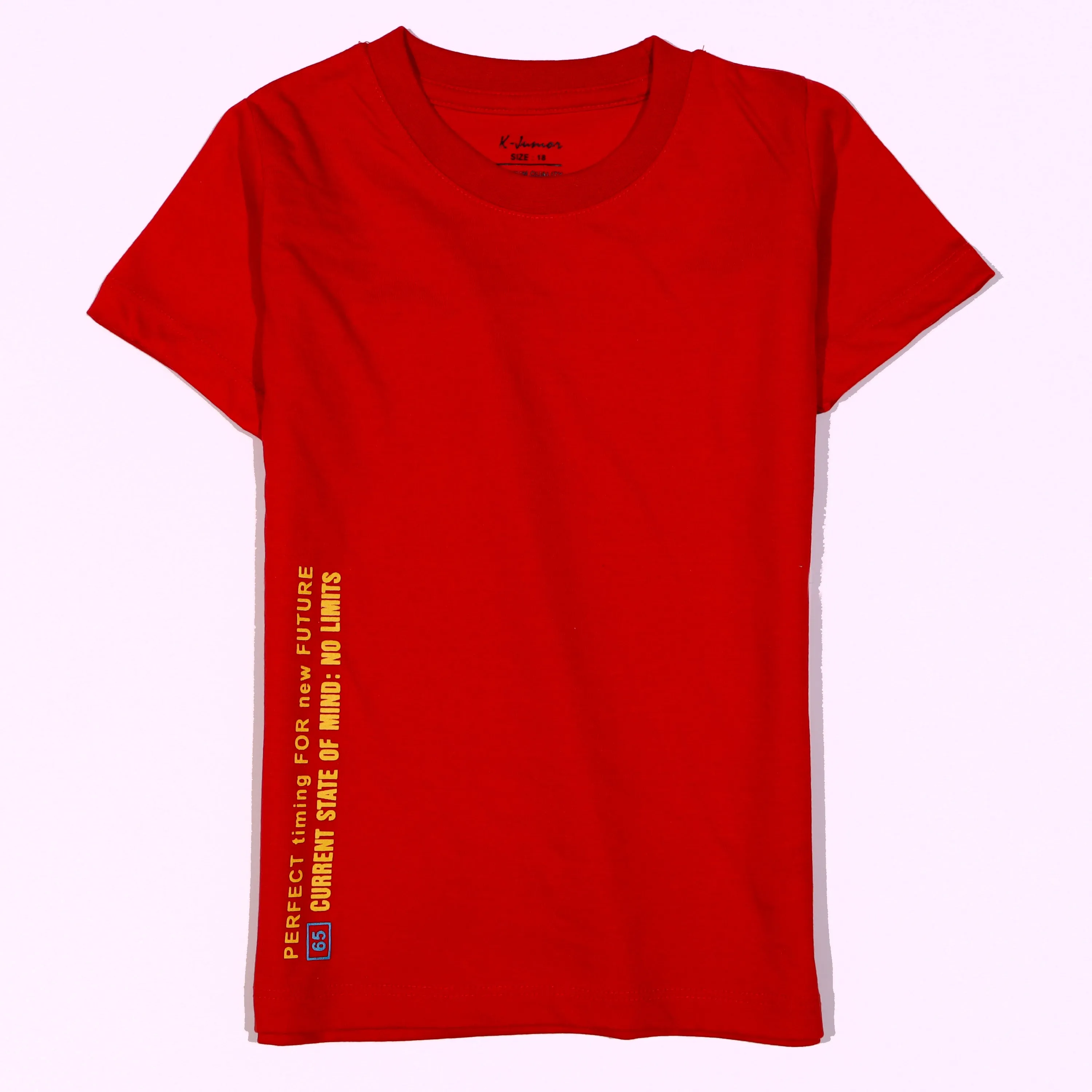 Boys Half Sleeves-Printed T-Shirt (Limit)