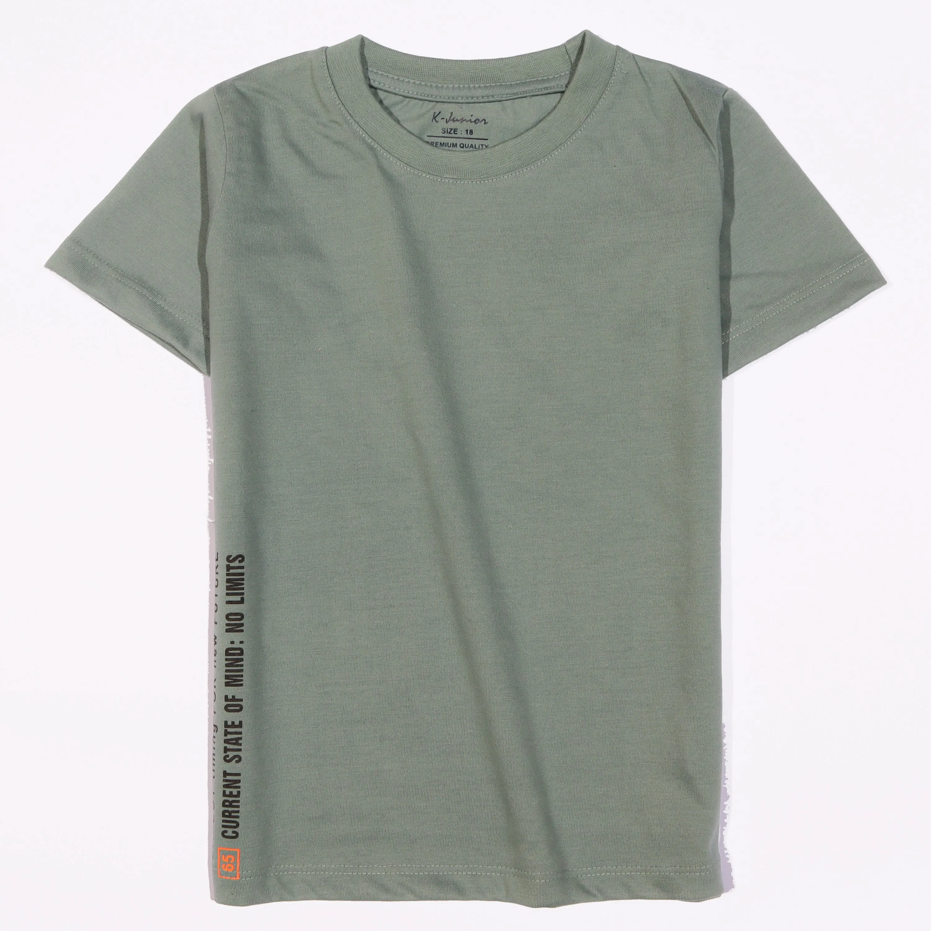 Boys Half Sleeves-Printed T-Shirt (Limit)
