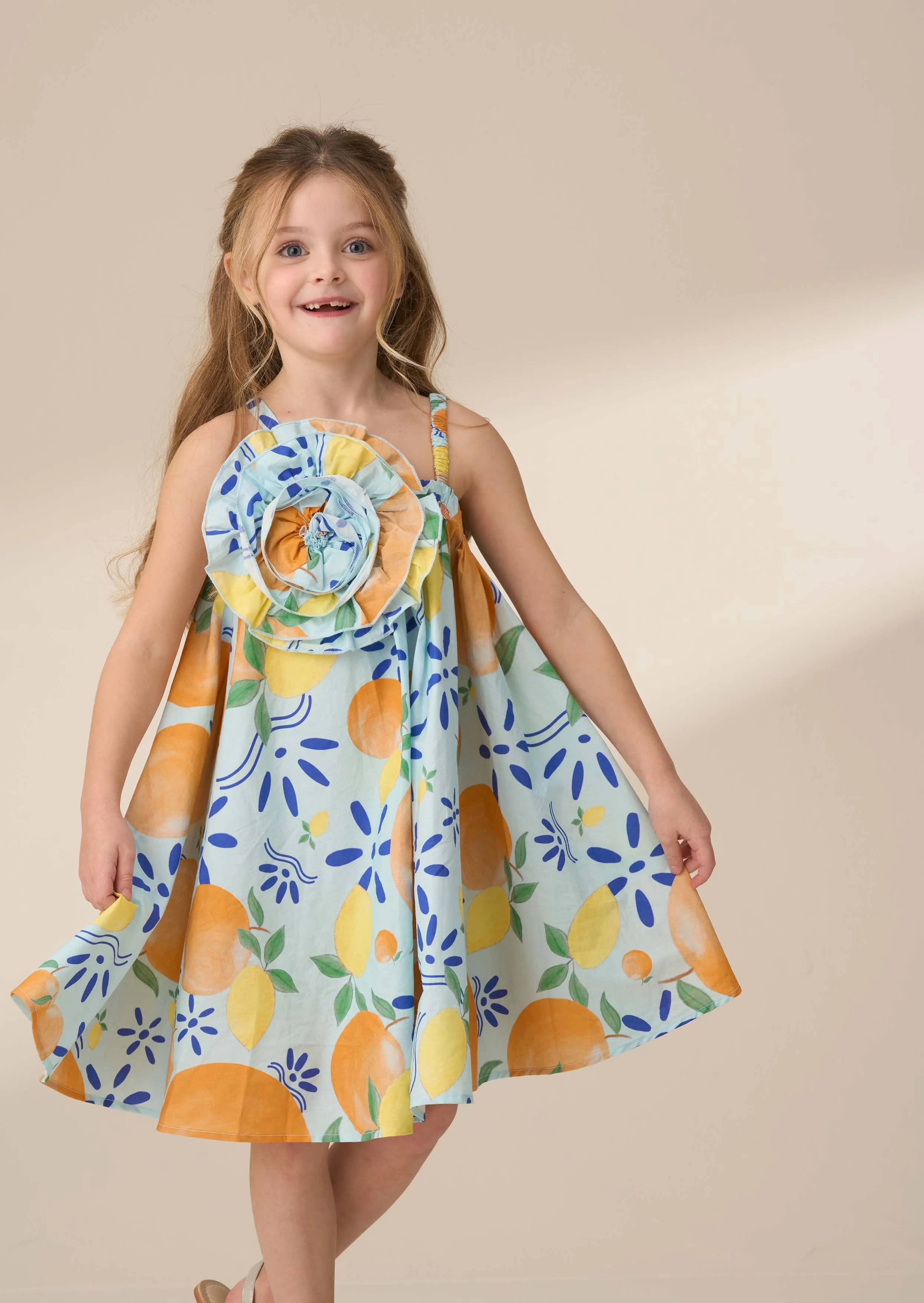 Carrie Multi Print Swing Corsage Dress