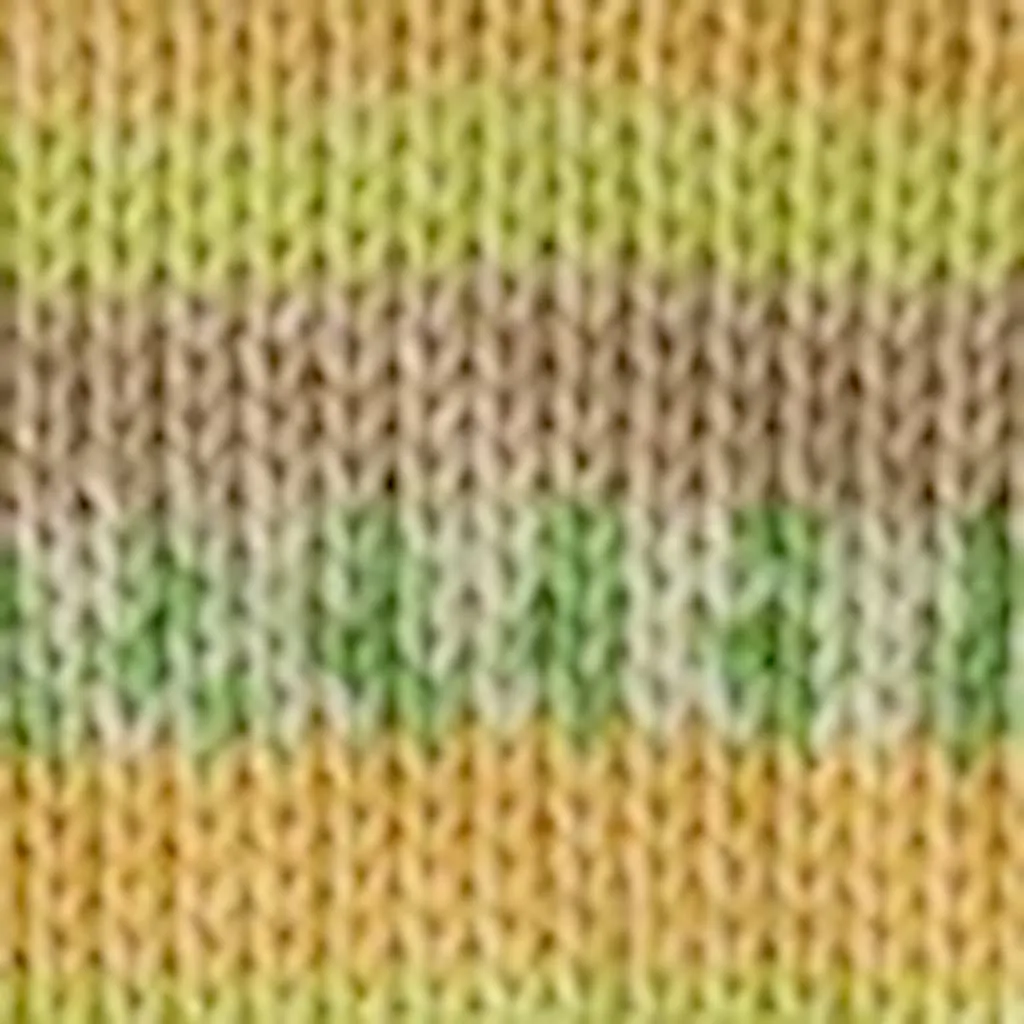 Cascade North Shore Prints DK Yarn