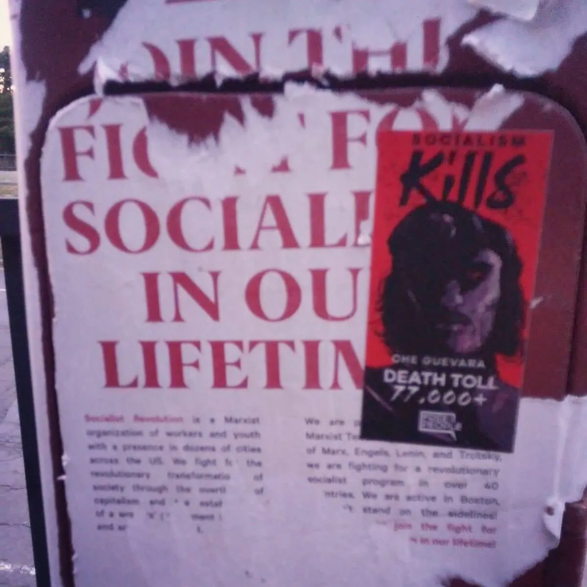 Che Guevara: Socialism Kills Sticker