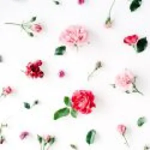 Fresh Cut Rose Fragrance Oil