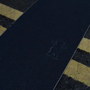 Grizzly - Regular - Cut out - 9" - Grip Tape Sheet