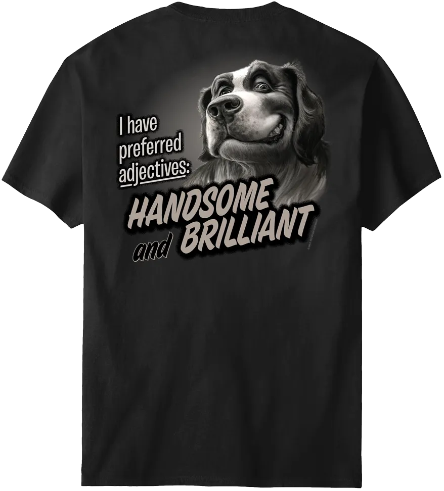 Handsome And Brilliant T-Shirt