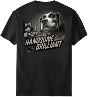 Handsome And Brilliant T-Shirt