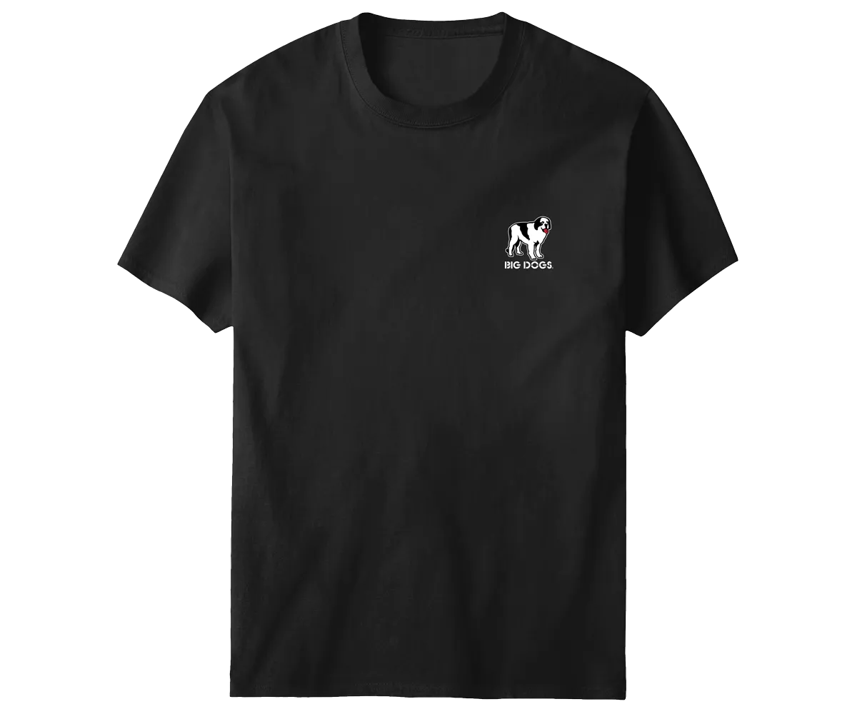Handsome And Brilliant T-Shirt