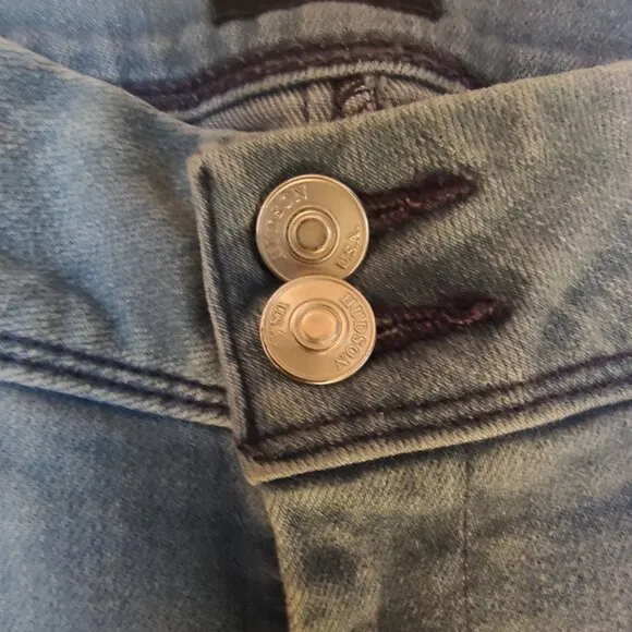 Hudson Light Wash Skinny Jeans