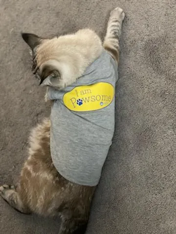 I am Pawsome - Pet Tee