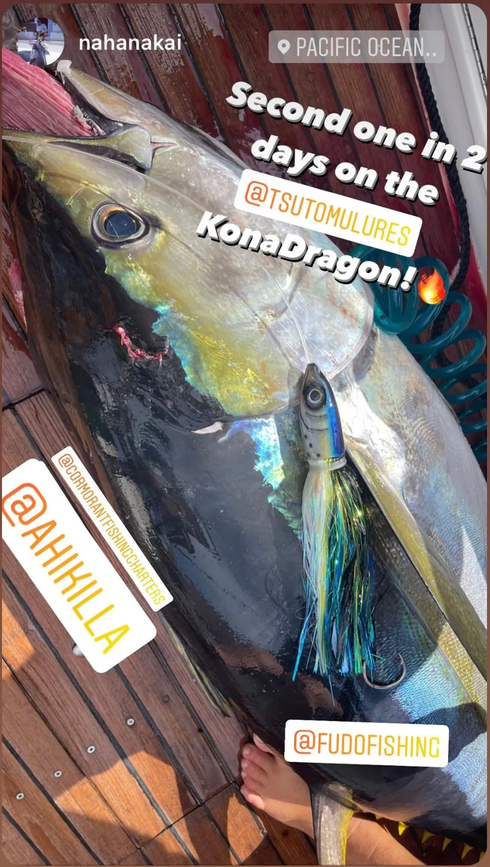 Kona Dragon Jetted: YELLOWFIN