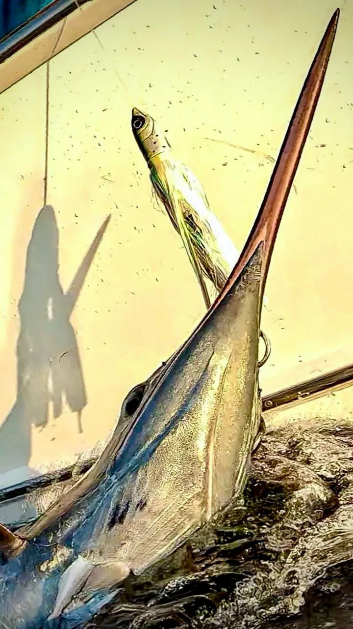 Kona Dragon Jetted: YELLOWFIN