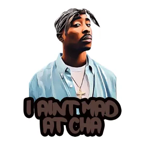 Pro Club 2PAC I Aint Mad At Cha Digital printed Tee