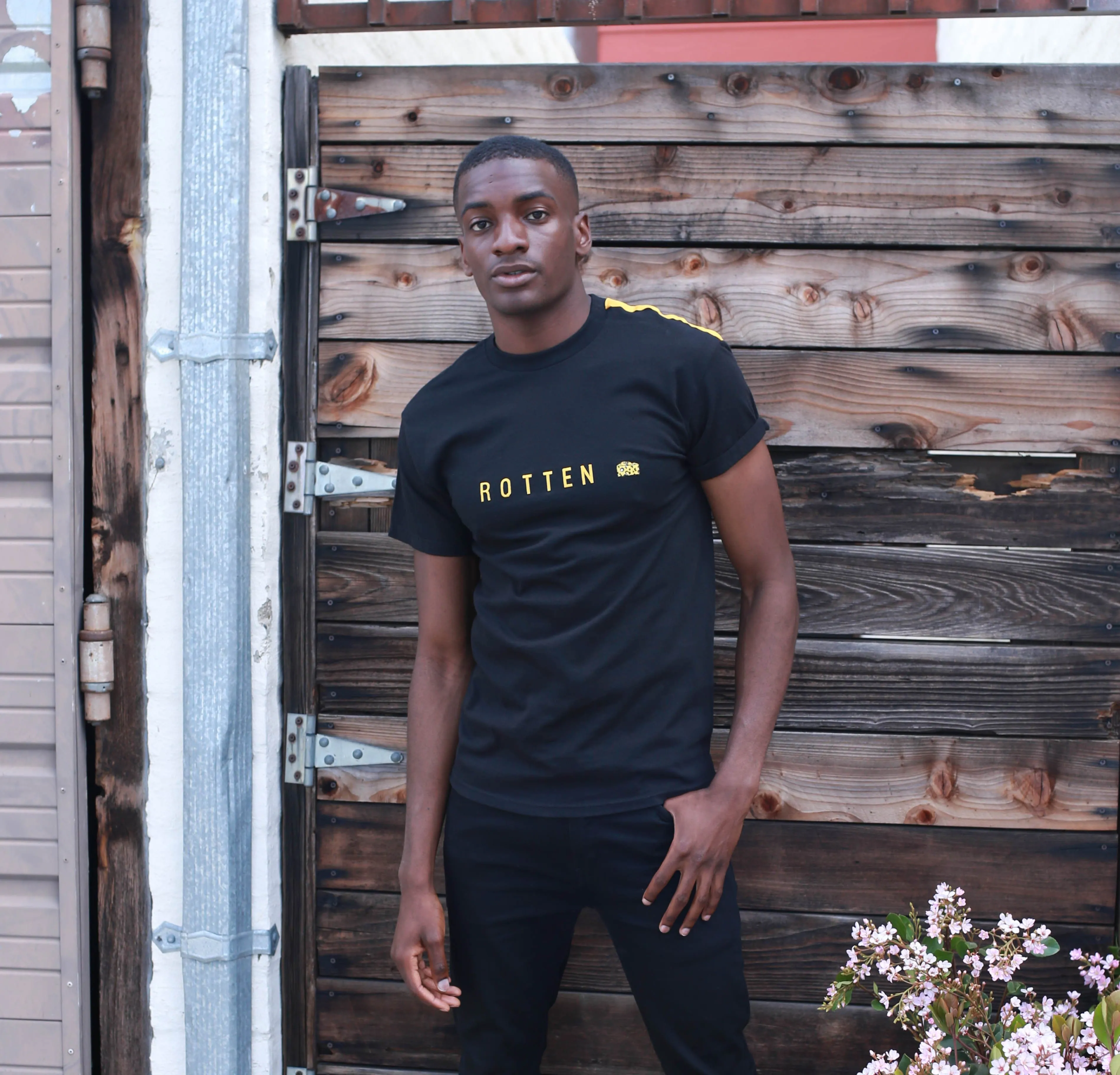 Rotten T-Shirt