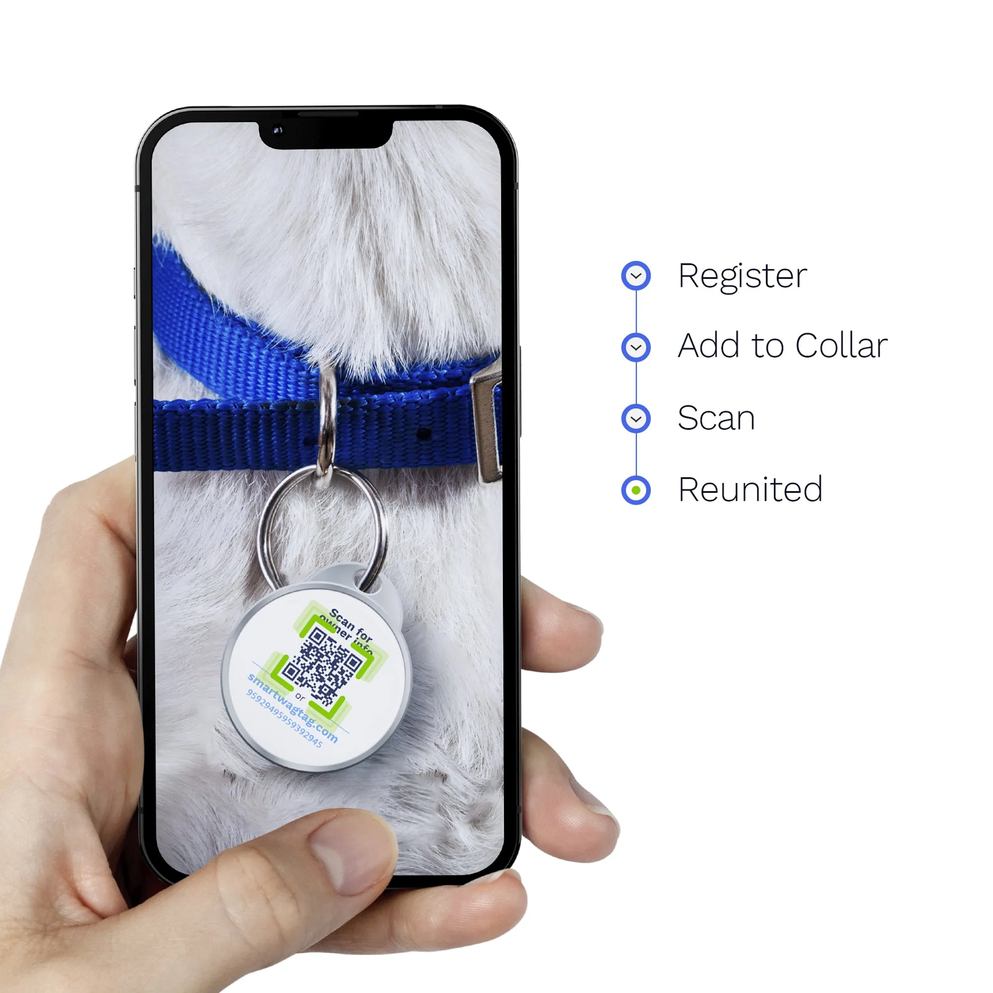 Smart ID Pet Tag
