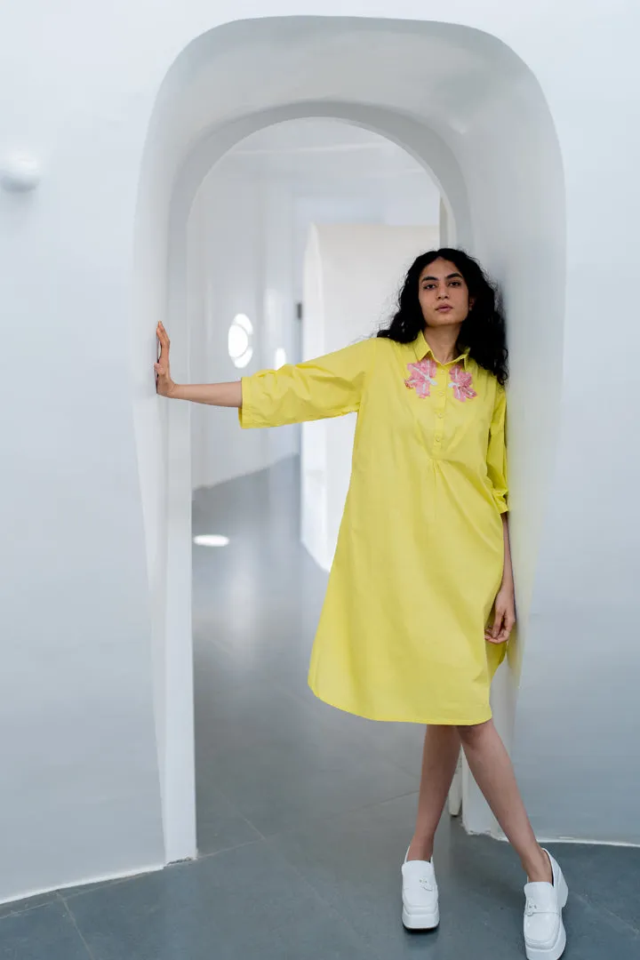 Yellow pink Embroidered Dress